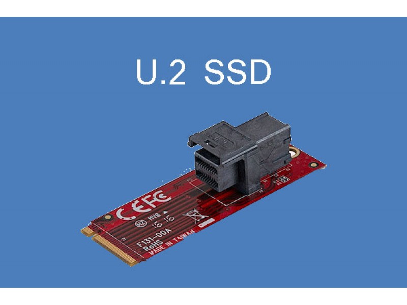  M.2 SSD vs U.2 SSD  